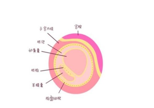 女性要是患有始基子宫想要自然怀孕改怎么调理-